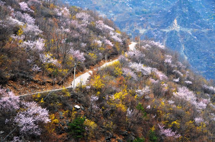 清明小长假 “韩流”青睐南太行