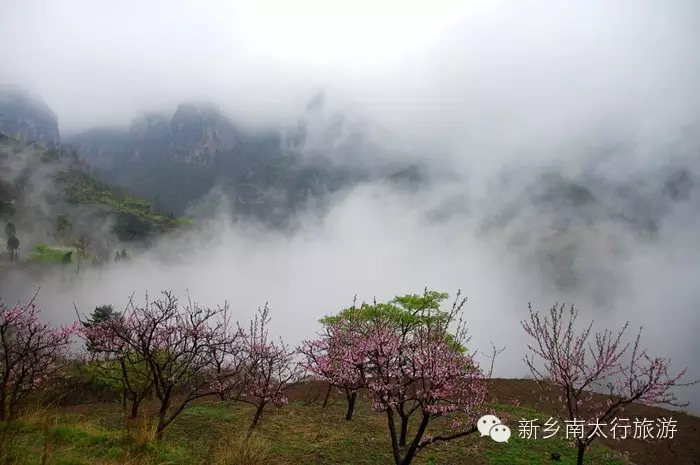 快接住，又一波红包来了！