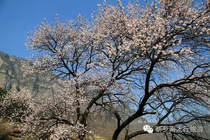 快接住，又一波红包来了！