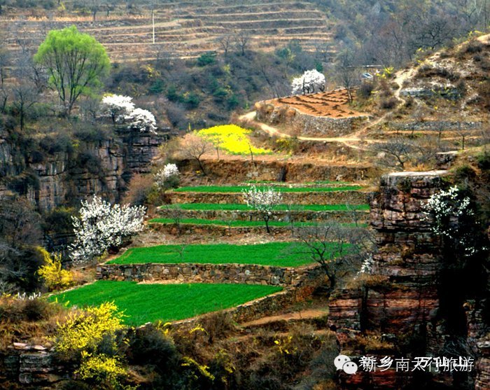 快接住，又一波红包来了！