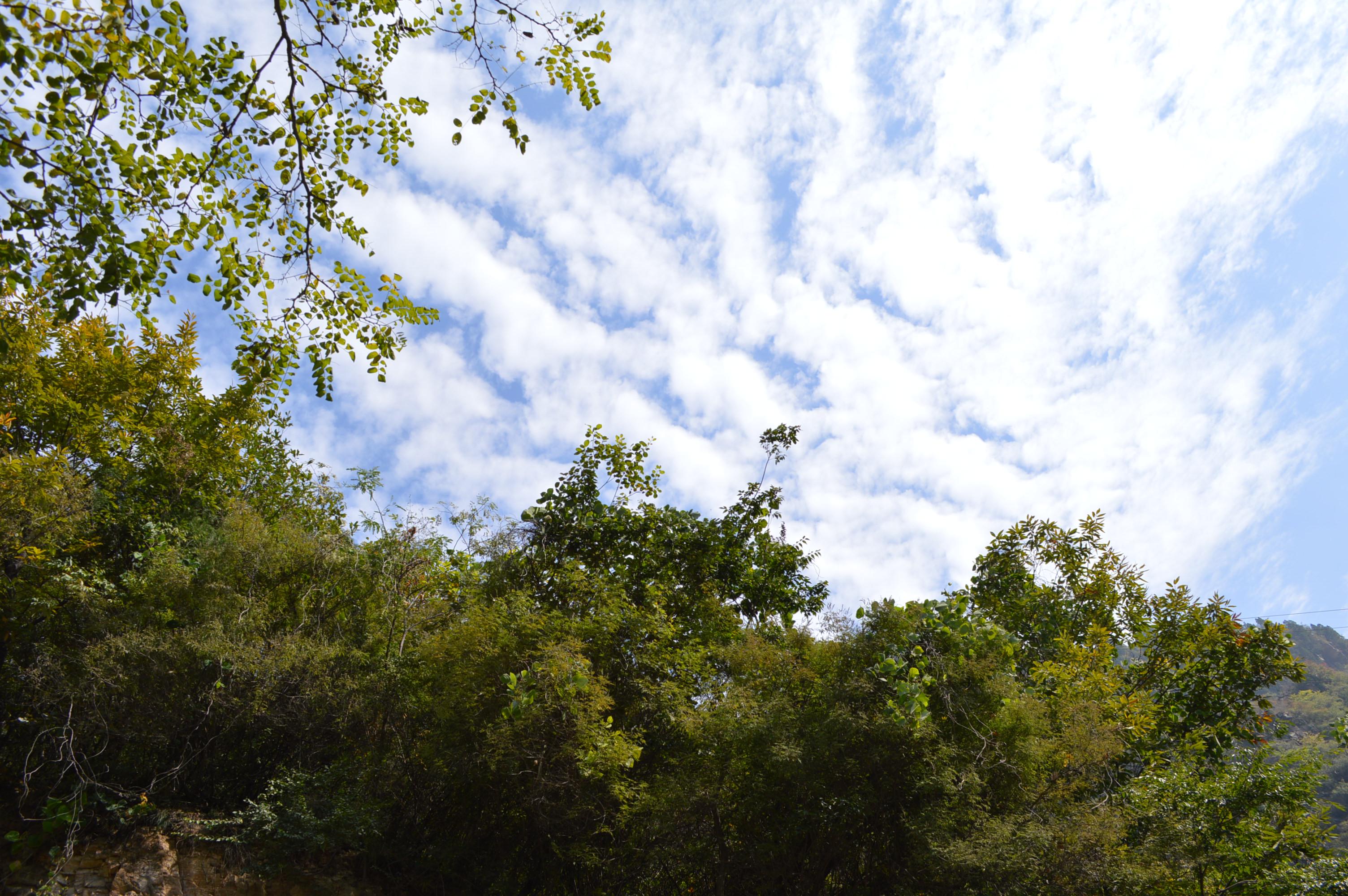 梦幻天堂 太行圣境天界山