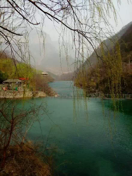 2015首次600余人大巴团南太行八里沟、九莲山赏春之旅