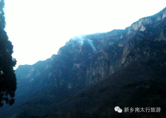 山火无情 “邻居”有义