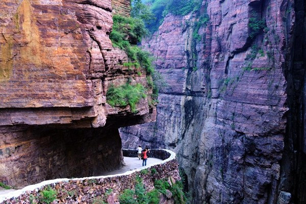 李修平的南太行情缘