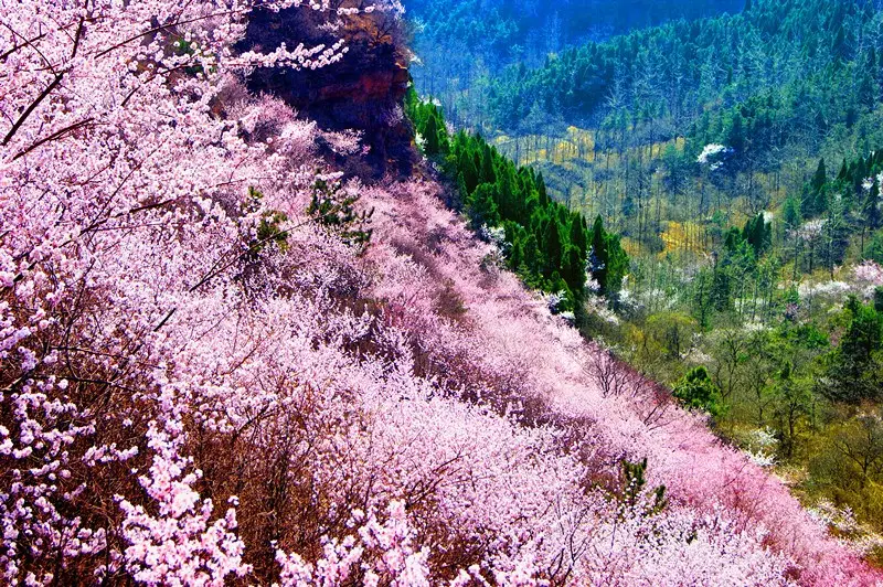 致南太行旅游年卡---那一场说走就走的旅行