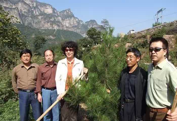 李修平的南太行情缘