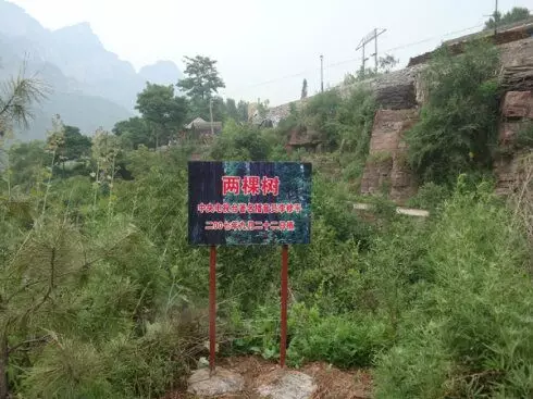 李修平的南太行情缘