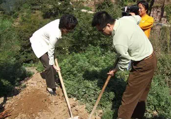 李修平的南太行情缘