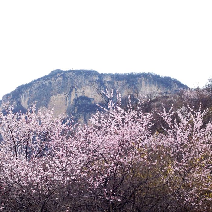十里桃花八里沟