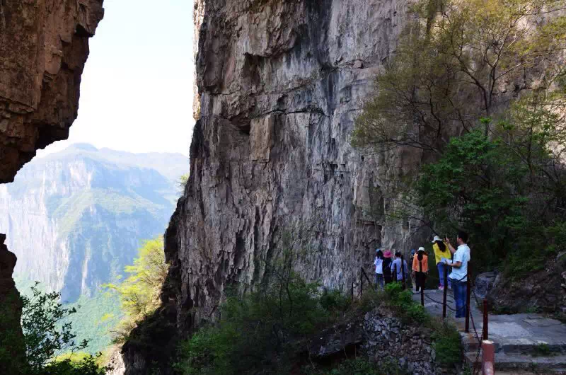 空谷幽兰处 独寻一片静