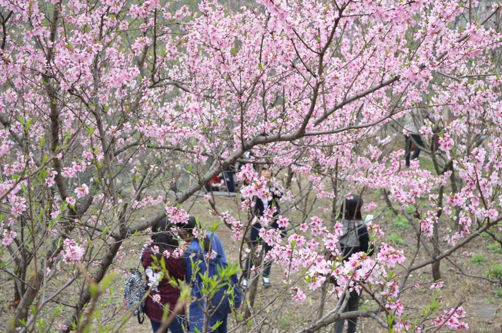 魂牵梦萦 八里沟的暖时光