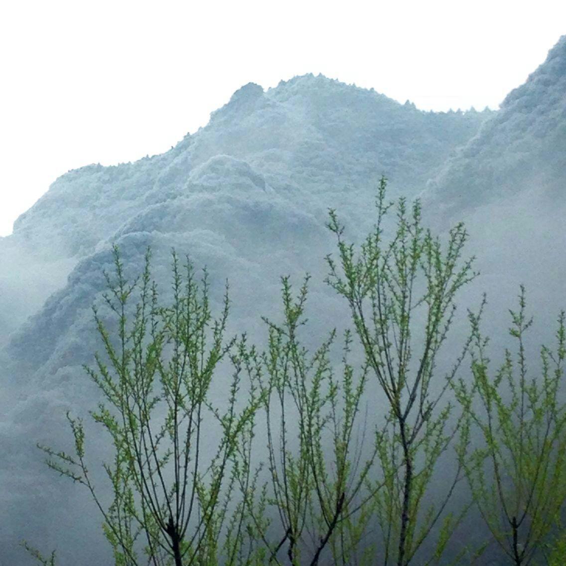 四月清明画春“秋”