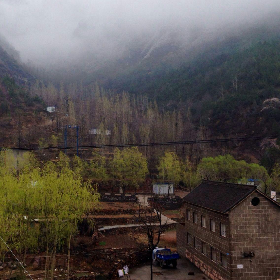 四月清明画春“秋”