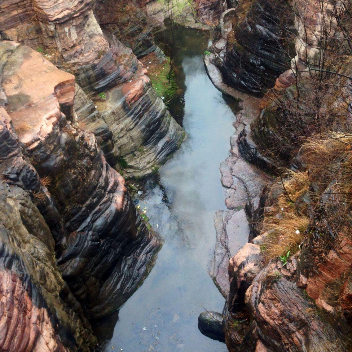 四月清明画春“秋”