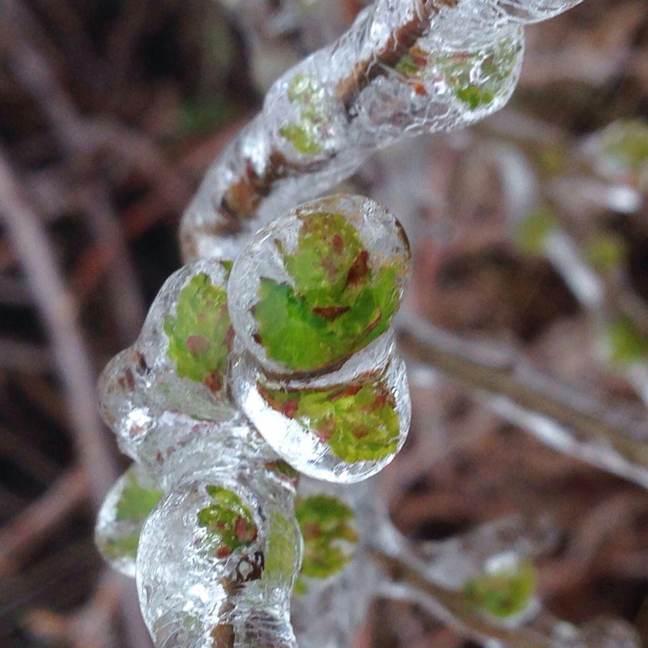 四月清明画春“秋”