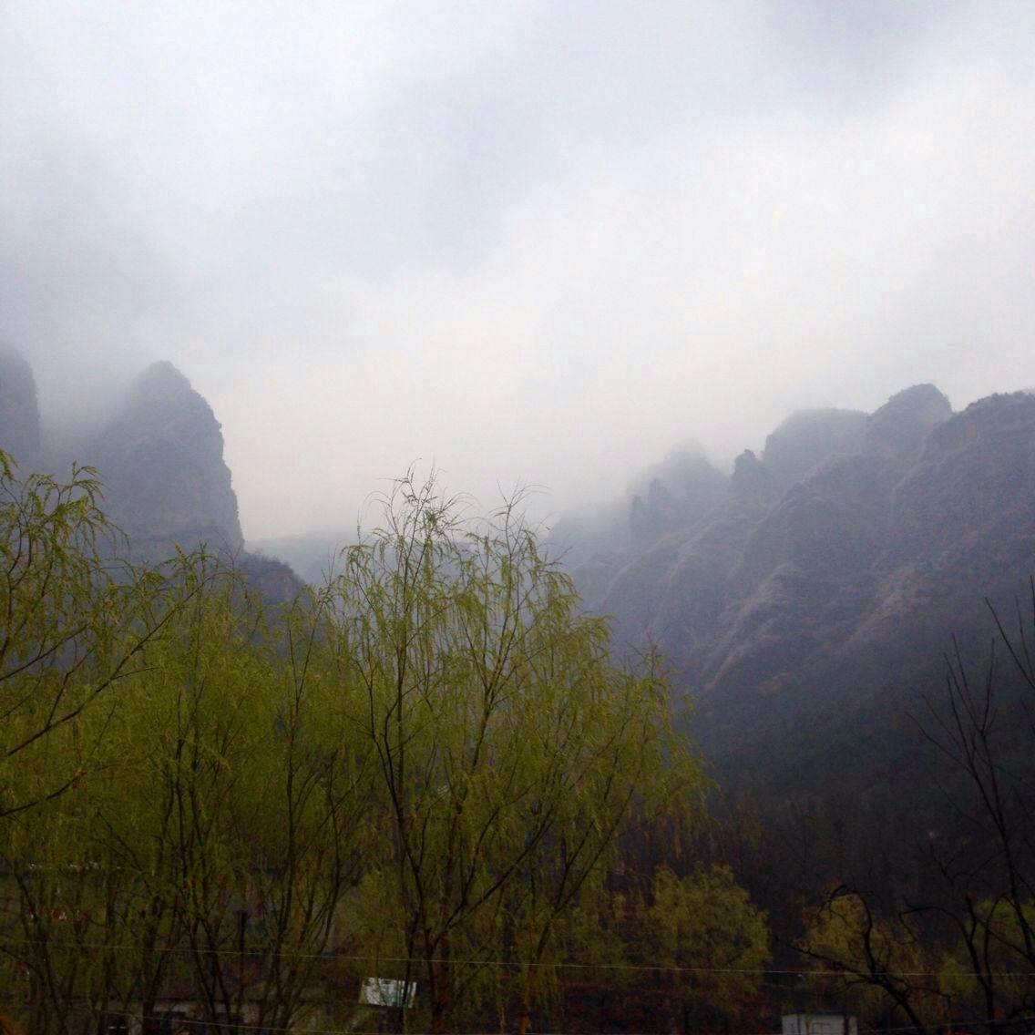 四月清明画春“秋”