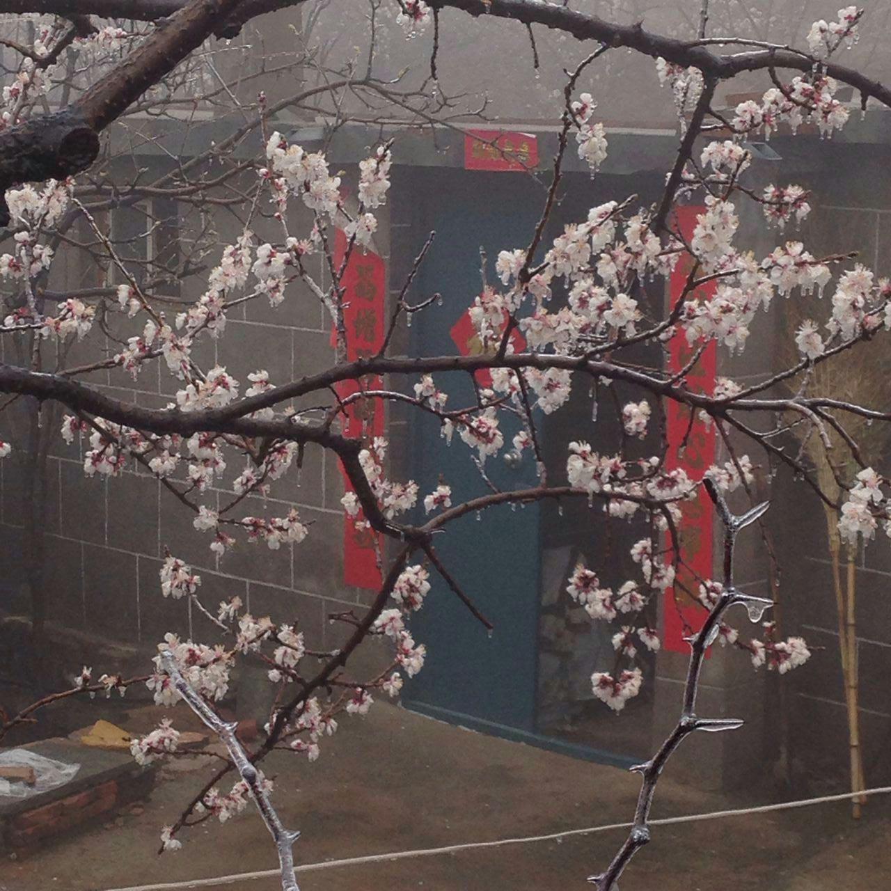 四月清明画春“秋”