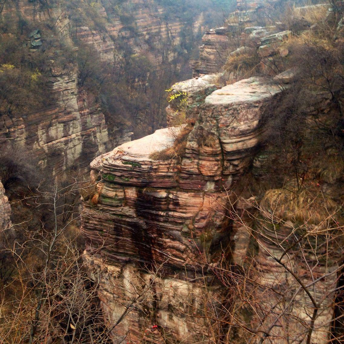 四月清明画春“秋”
