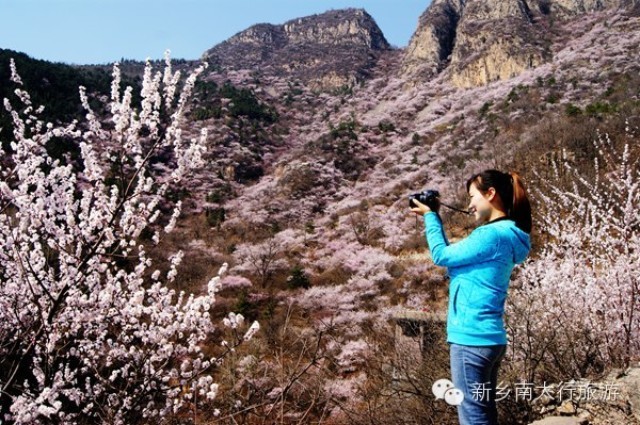 春暖花开，我和秋沟有个约“惠”