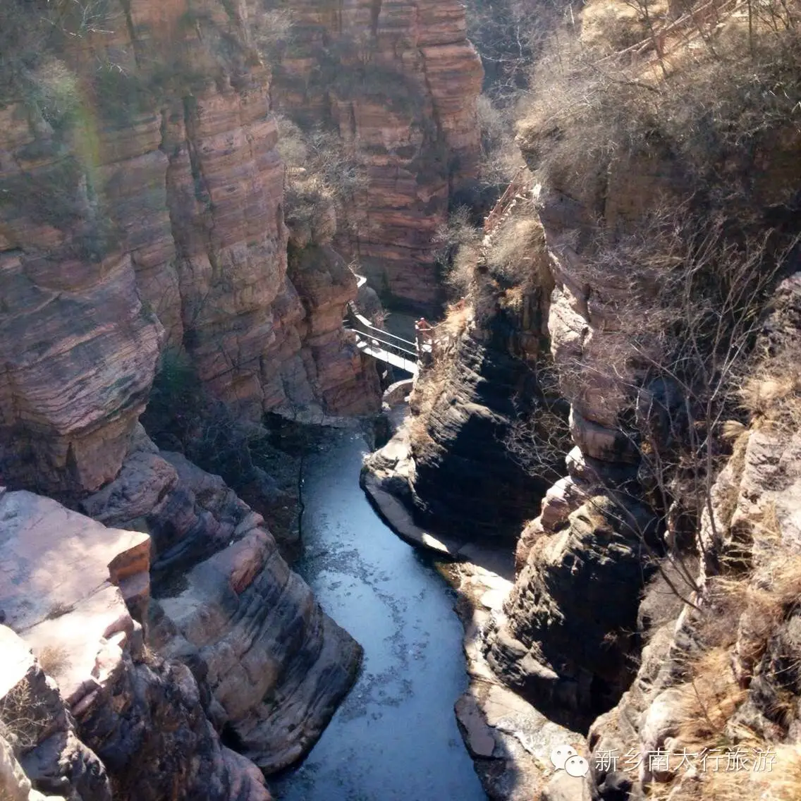 春暖花开，我和秋沟有个约“惠”