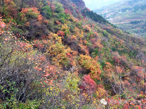 秋水伊人南太行
