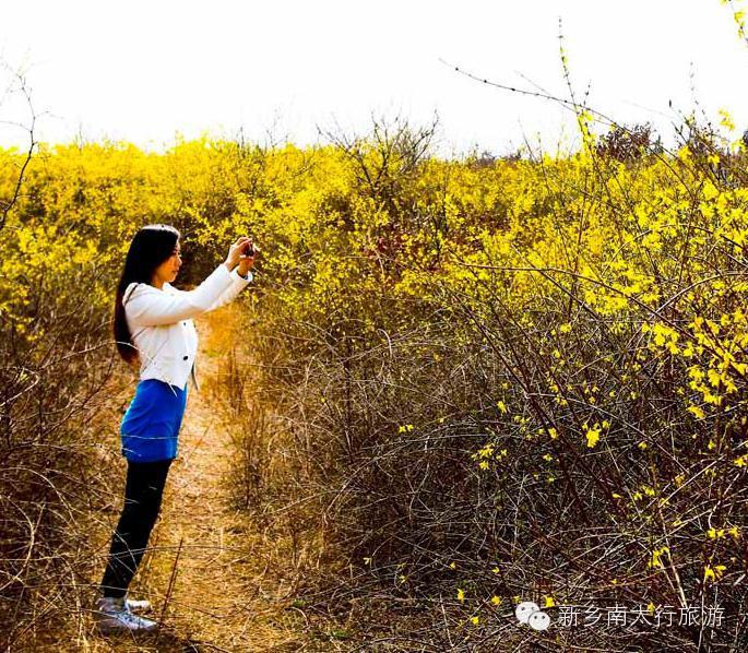 快了，快了，最提神的节日来了！