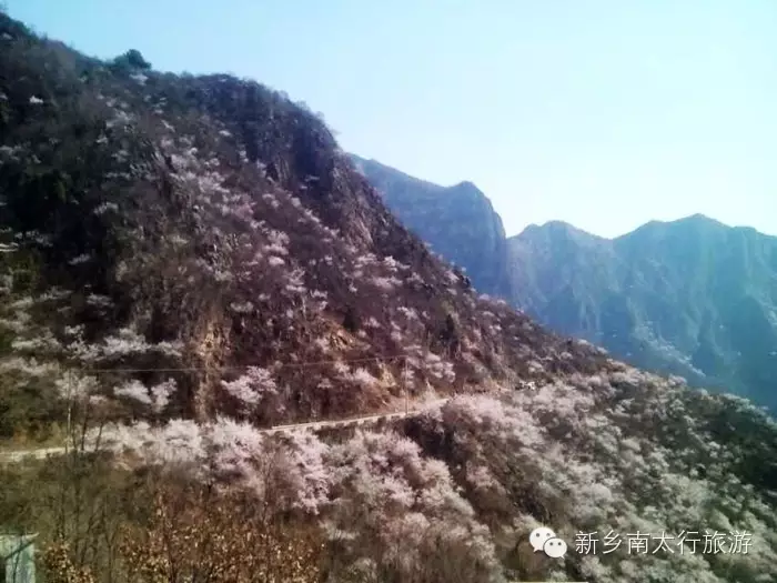 快了，快了，最提神的节日来了！