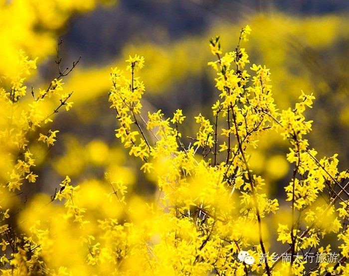 快了，快了，最提神的节日来了！