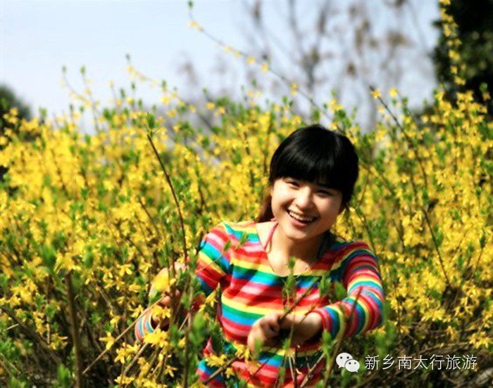 春天，就要在这花花世界里翩跹！