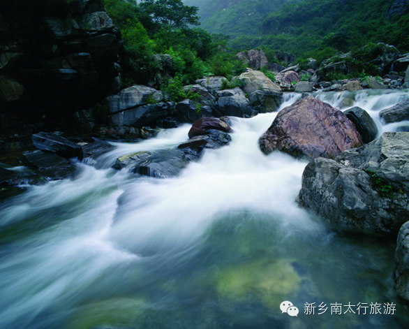 春天，就要在这花花世界里翩跹！