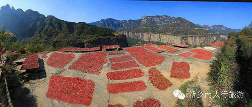 秋水伊人南太行