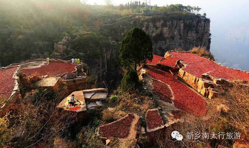 秋水伊人南太行