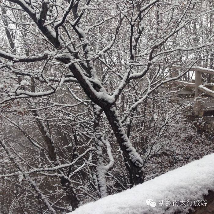 你知道吗？ 关山下大雪了！