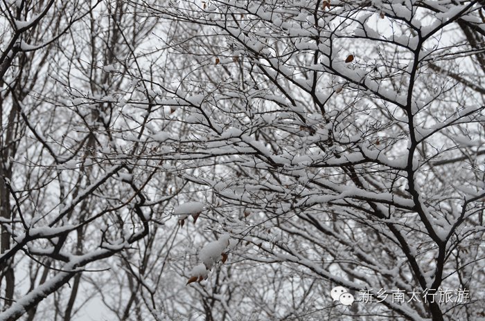 你知道吗？ 关山下大雪了！