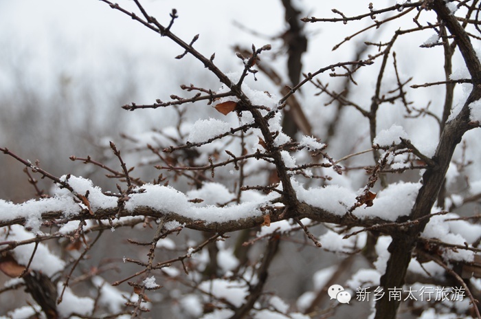 你知道吗？ 关山下大雪了！