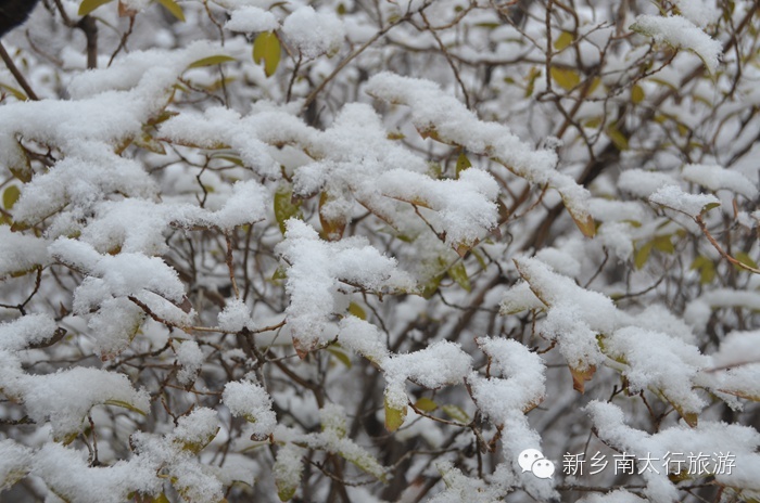 你知道吗？ 关山下大雪了！