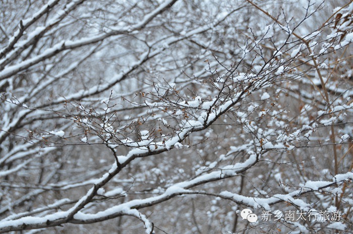 你知道吗？ 关山下大雪了！