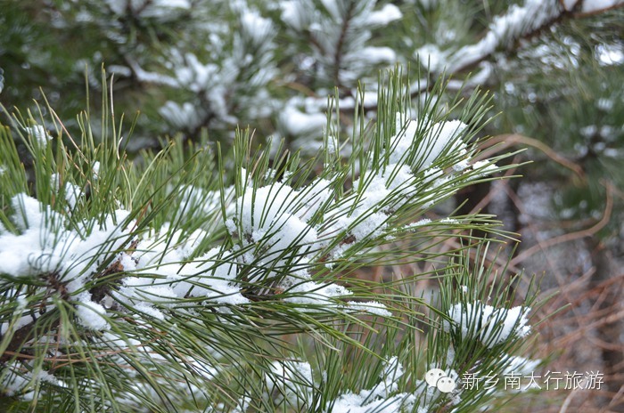 你知道吗？ 关山下大雪了！