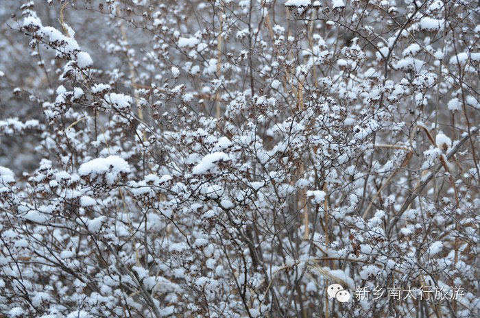 你知道吗？ 关山下大雪了！