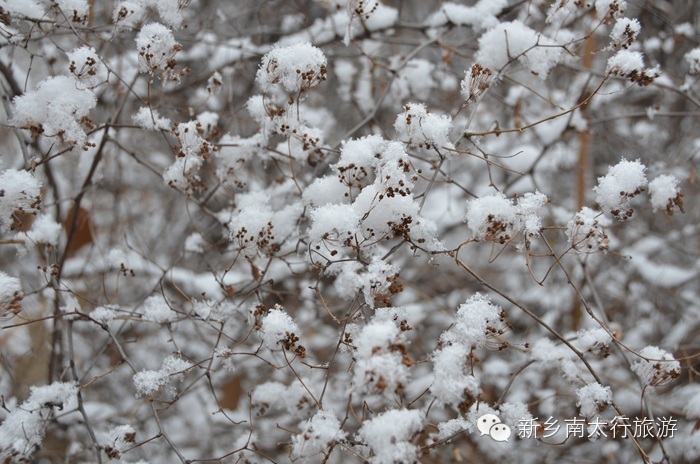 你知道吗？ 关山下大雪了！