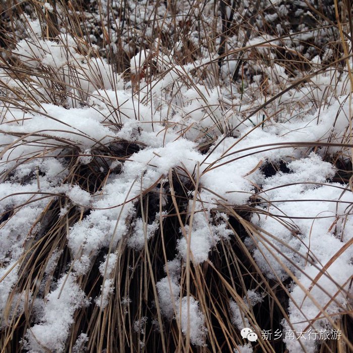 你知道吗？ 关山下大雪了！