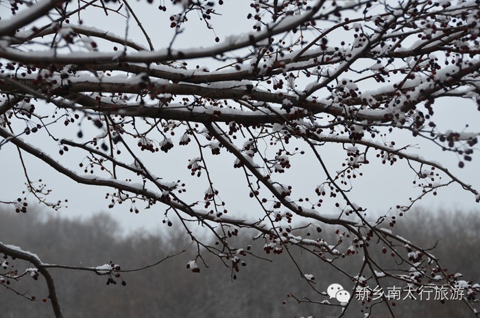 你知道吗？ 关山下大雪了！