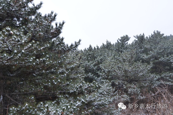 你知道吗？ 关山下大雪了！