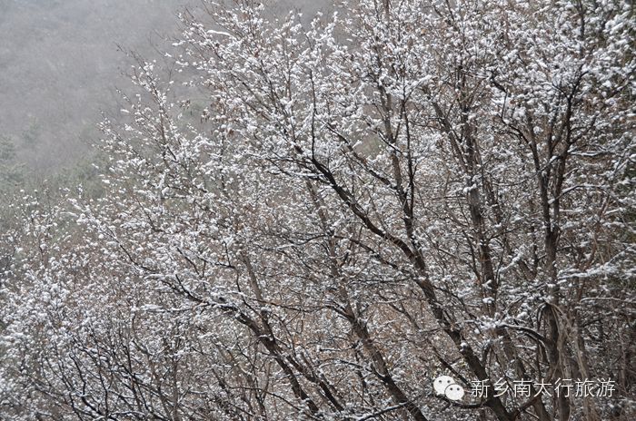 你知道吗？ 关山下大雪了！