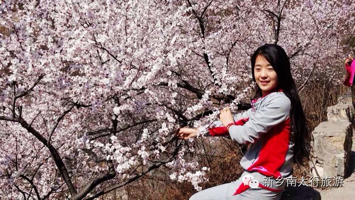 春天，我去秋沟看桃花！