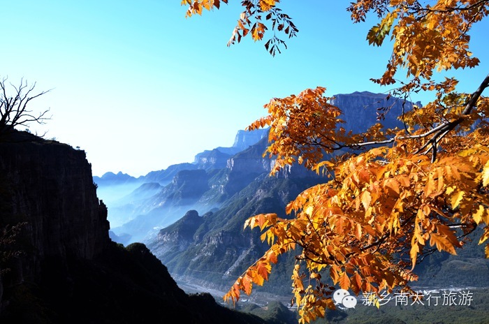 这么蓝的天，你拍了吗？