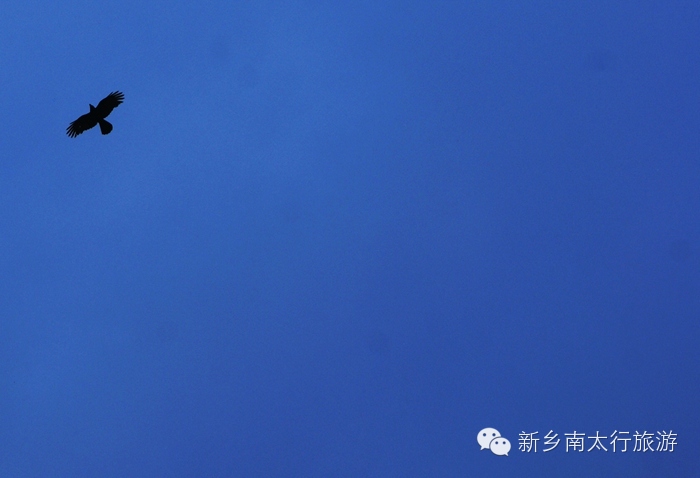 这么蓝的天，你拍了吗？