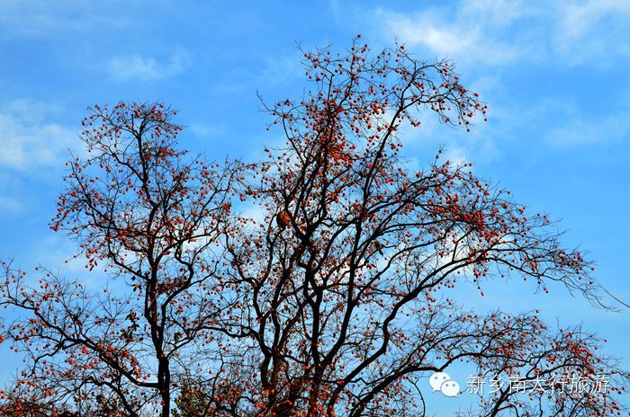 这么蓝的天，你拍了吗？