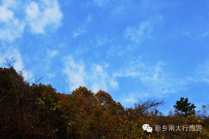 这么蓝的天，你拍了吗？