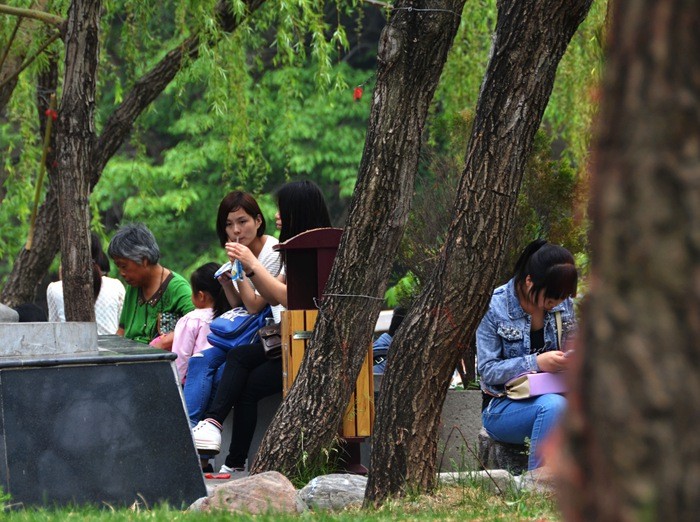 五一小长假，南太行接待游客近15万人